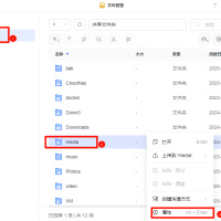 获取NAS文件夹的真实路径并挂载到Docker容器​