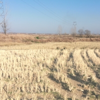 相册里：静默数据损坏对家庭用户的体现