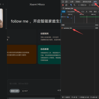 EasyNVR中添加米家摄像头